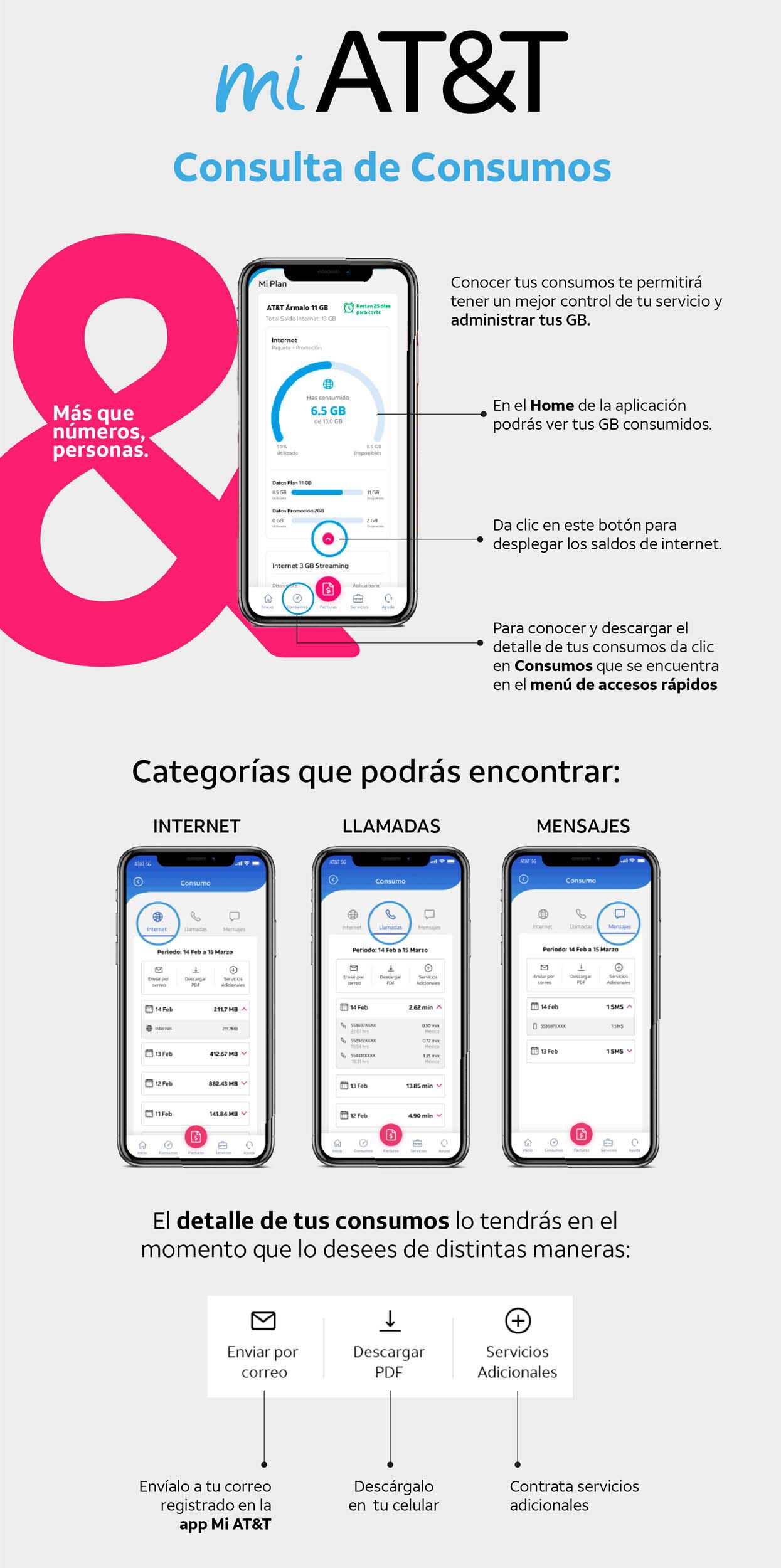 Consulta de consumos.