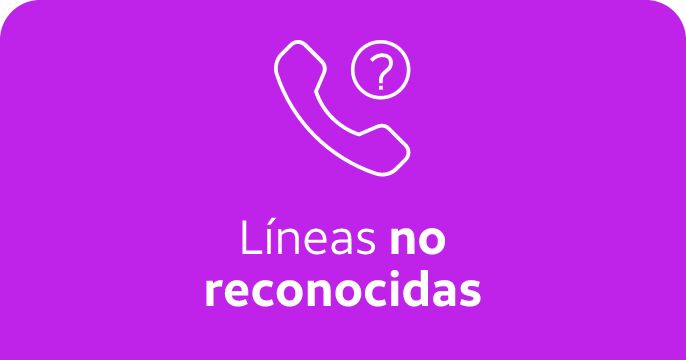 L&iacute;neas no reconocidas