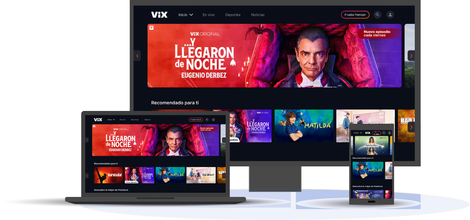 Usa Netflix en cualquier dispositivo