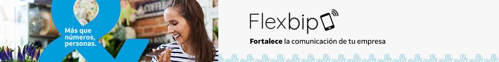 Flexbip