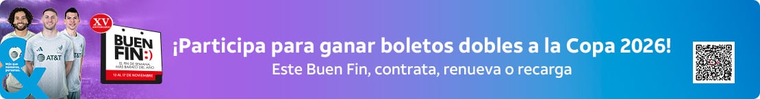 Buen fin 2025