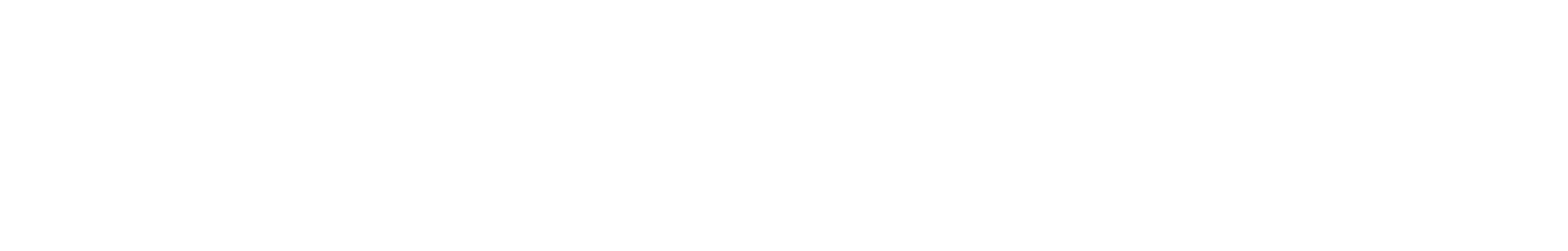 Línea inferior 1